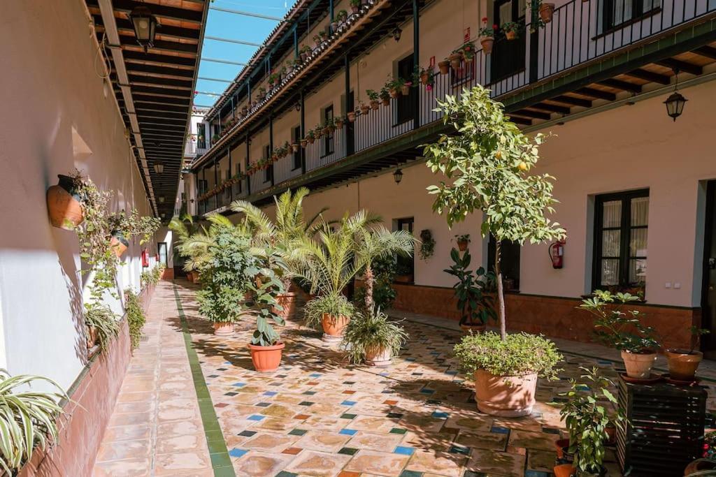 Apartamento Con Encanto En Patio Sevillano, Seville